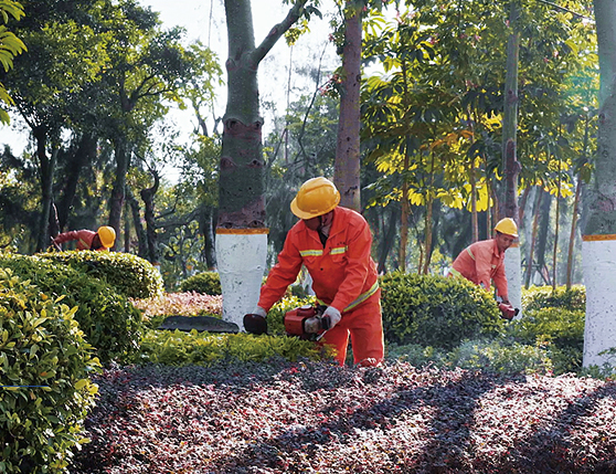 腾博汇游戏官网·(中国)专业服务,诚信为本
