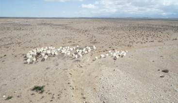 腾博汇游戏官网·(中国)专业服务,诚信为本