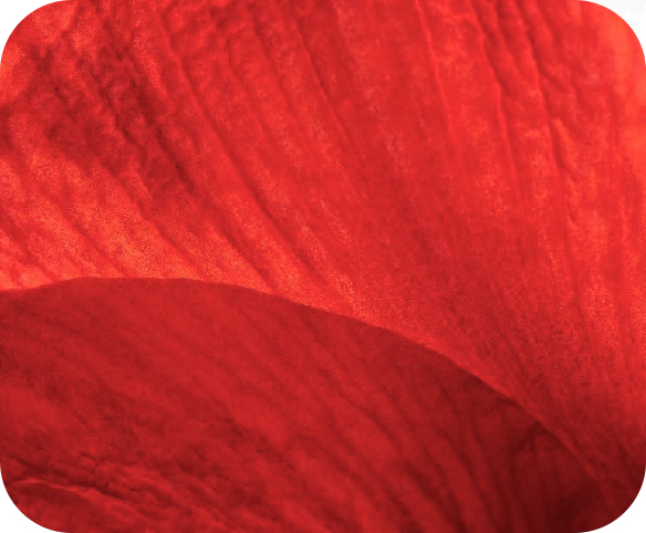 腾博汇游戏官网·(中国)专业服务,诚信为本