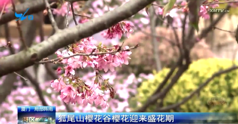 腾博汇游戏官网·(中国)专业服务,诚信为本