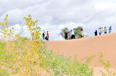 腾博汇游戏官网·(中国)专业服务,诚信为本